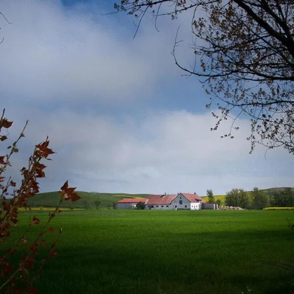 Bed & Breakfast Vinkille，位于Löderup的酒店