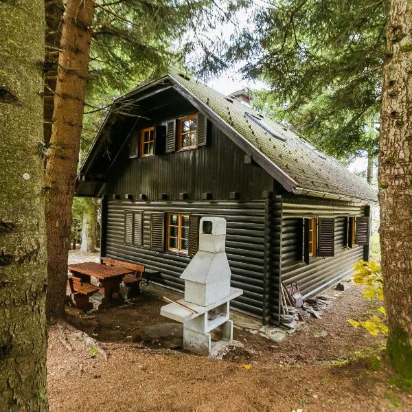 Chalet Liza & Rozi、Zgornja Ložnicaのホテル