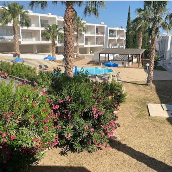 Cyprus Studio with pool near Beach, Peyia