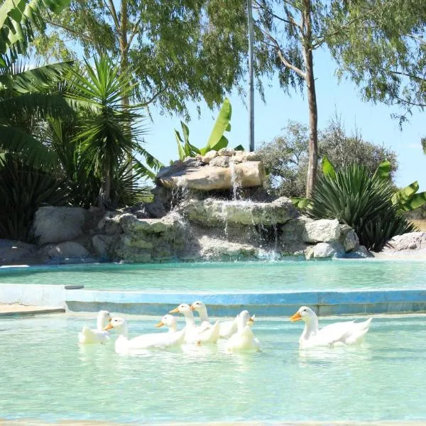 Bambi Lodge, hotel a Grootfontein