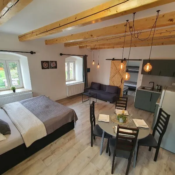 Apartmány ČERNÝ KOHOUT, ξενοδοχείο σε Černá v Pošumaví