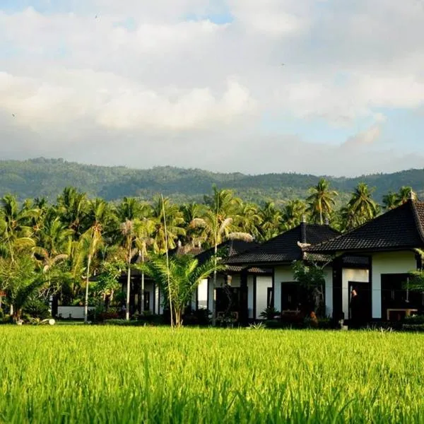 Pandawa Village, hotel in Lovina