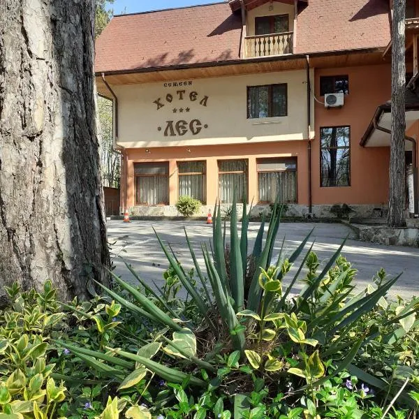 Hotel Les, ξενοδοχείο σε Ράζγκραντ