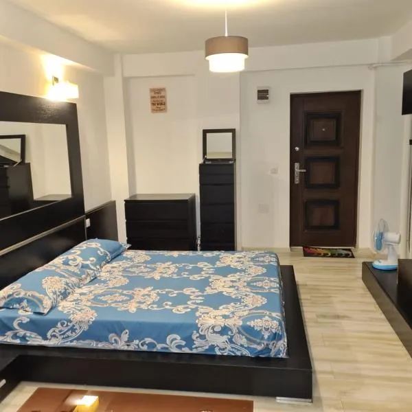 Studio 23 Constantin Brancoveanu, Craiovita, Self check-in, hotel in Craiova