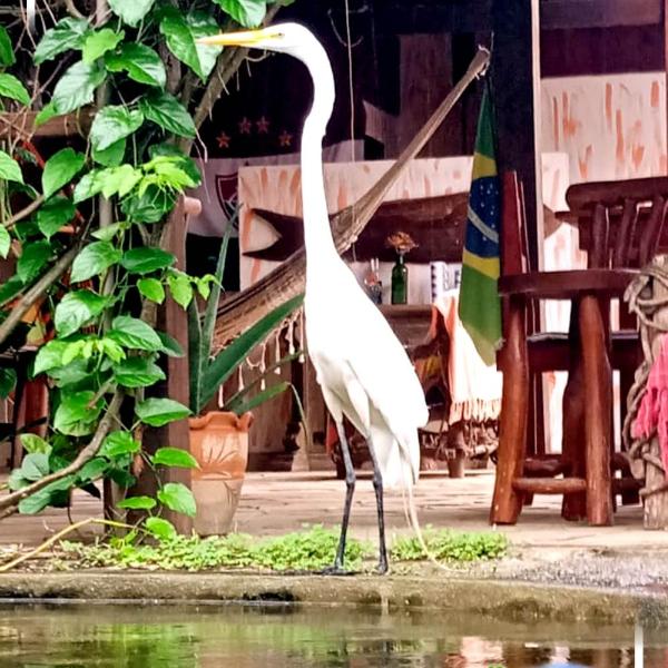 Pousada Chalé na Roça Penedo