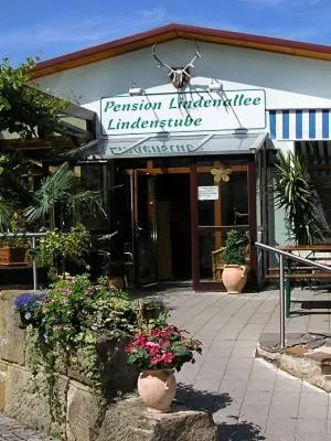 Pension Lindenallee, hôtel à Neuendettelsau