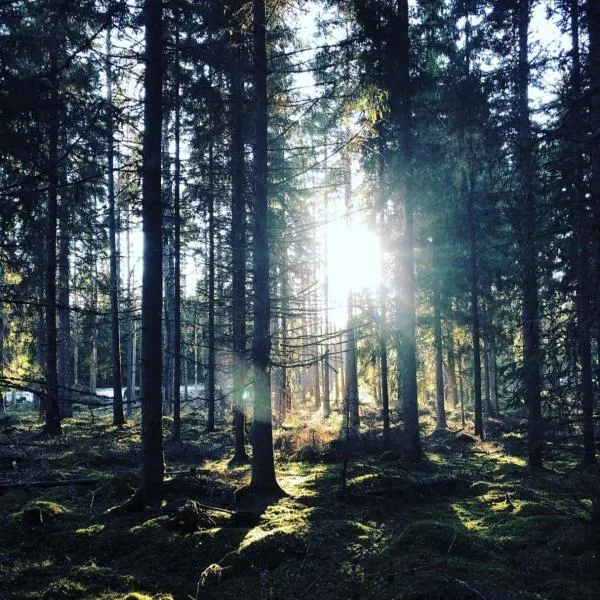 Ruth & Iris Farmhouse, hôtel à Nässjö