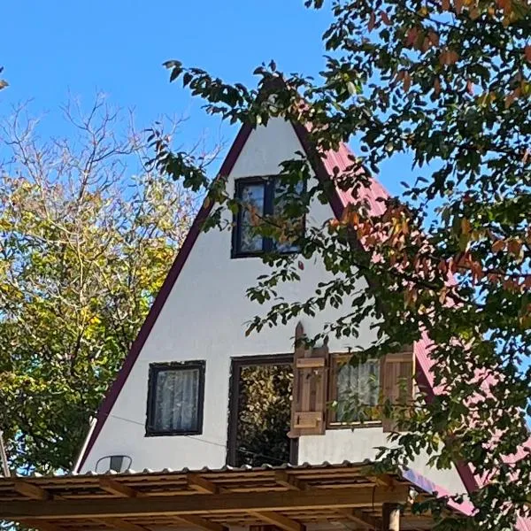 Crângul Verde，位于Minciuneşti的酒店