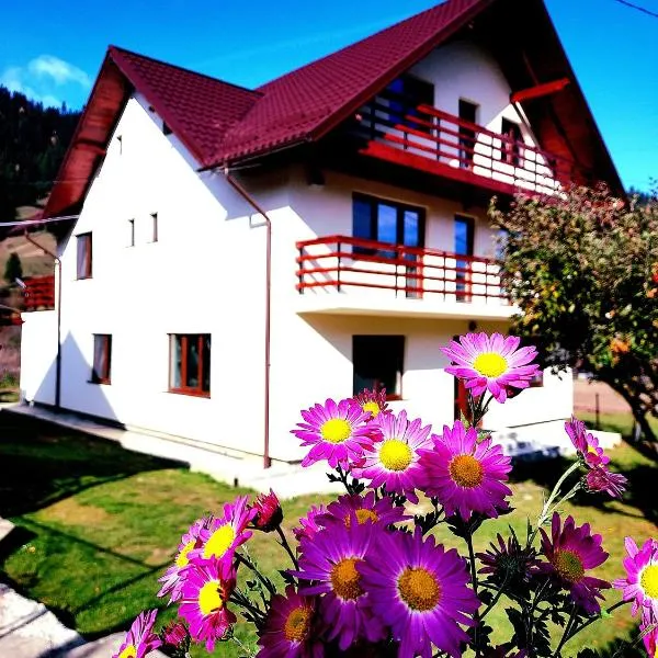 Casa Elena, hotel in Ceahlău
