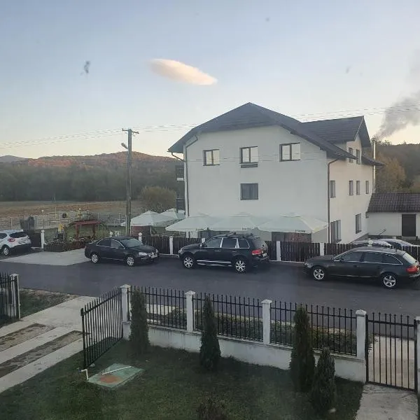 Pensiunea Ronicson, hotel em Miloştea