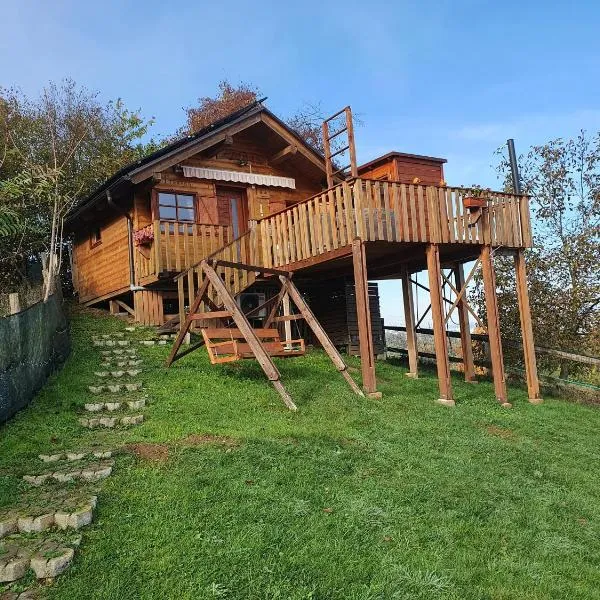 Gnezdo Vid-ik、チャテジ・オプ・サヴィのホテル