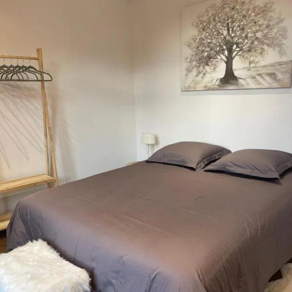 Les Appartements du Cep’t, hotel en Mazamet