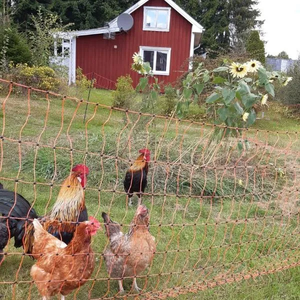 Stuga Åsnagård, hotel en Torsby