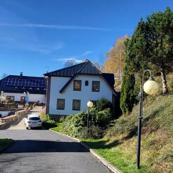 hotel ZLATÝ POTOK, hotel en Nicov