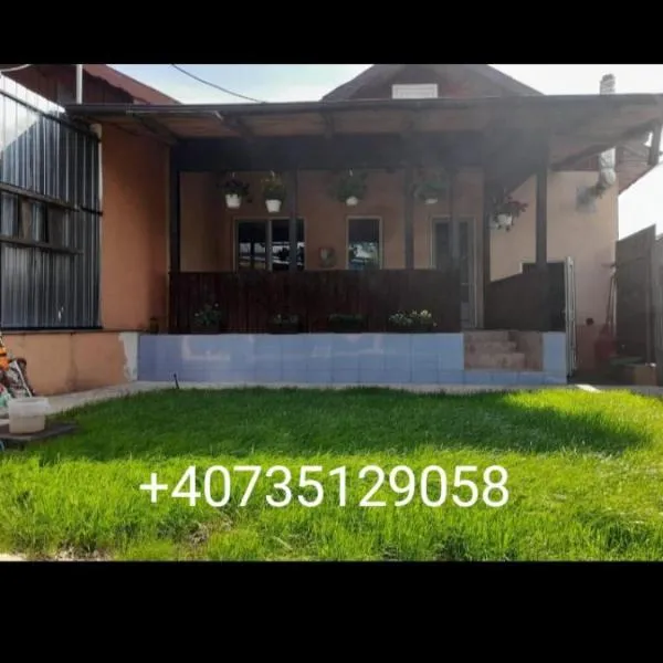 Central city house, hotell sihtkohas Tulcea