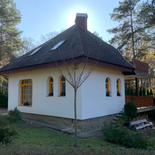 Bolla Nyaralóház, hôtel à Hegyhátszentjakab