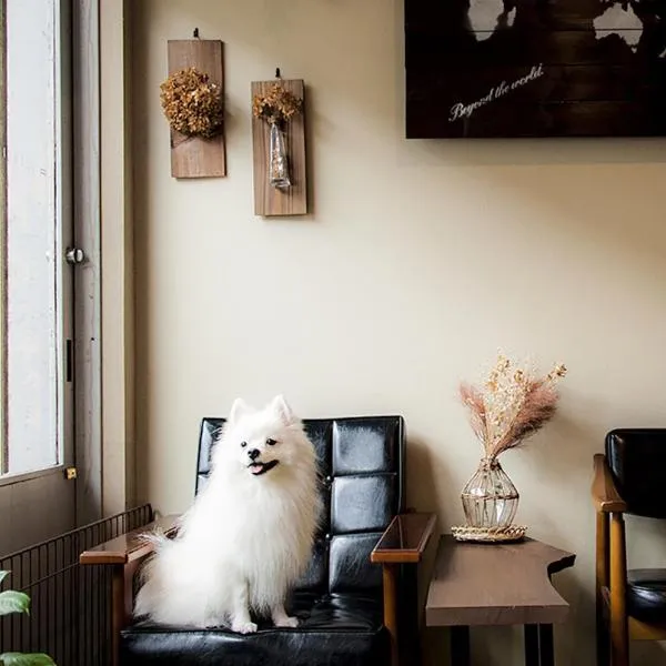 SUZUKI GUESTHOUSE、京都市のホテル