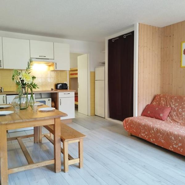 Appartement T2 cabine pour 8 pers, ski aux pieds, bien équipé, proche commerces et sports - FR-1-262-137
