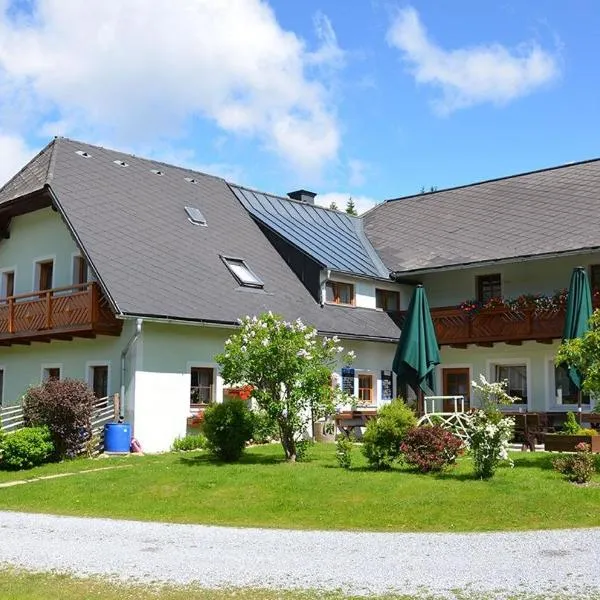 Pension Holzmeister, hotel in Sankt Kathrein am Offenegg