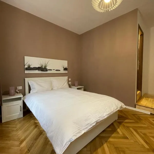 Schei Central Studios in the heart of Brasov, hotel in Braşov