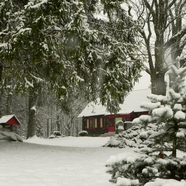 Aliai, hotel en Utena