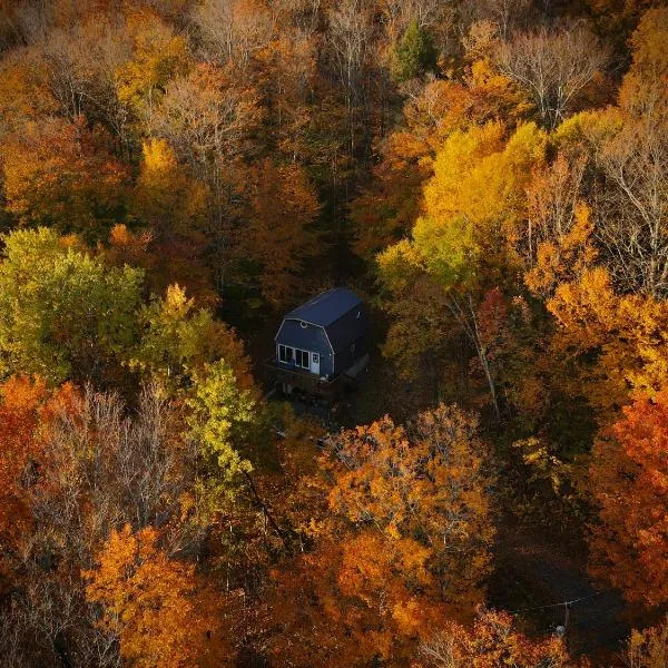 Mandy's Mountain Chalet, hotel en Dover