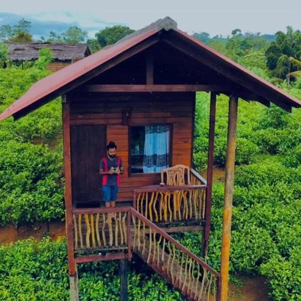 Misty Mountain- Sinharaja โรงแรมในเดนิยายา