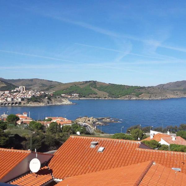 Appartement 2 pièces avec vue mer, climatisation, ascenseur, WIFI, proche crique et port, Banyuls - FR-1-225C-12