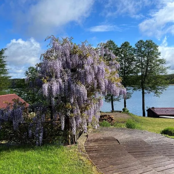 Gospodarstwo Agroturystyczne Kozłowiec, hotel en Dziemiany