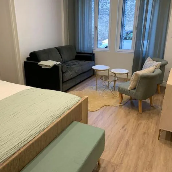 Appartement chaleureux, hotel in Dijon