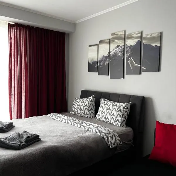 SkiLuxe New Gudauri - Loft 2，位于古多里的酒店