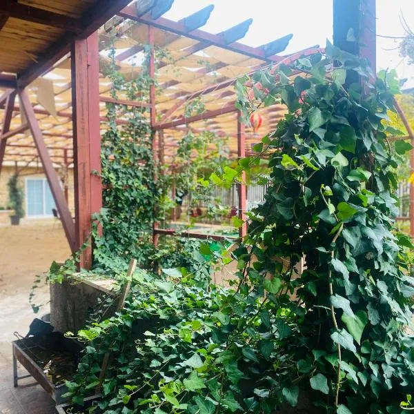 Green houseجوهره الشمال, hotel v destinaci Ajloun