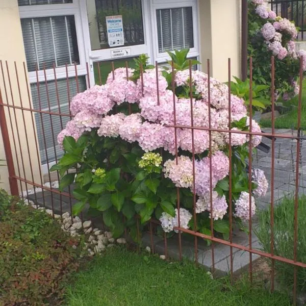 Kwa-Dlamathe Guesthouse, hotel v destinaci Volksrust