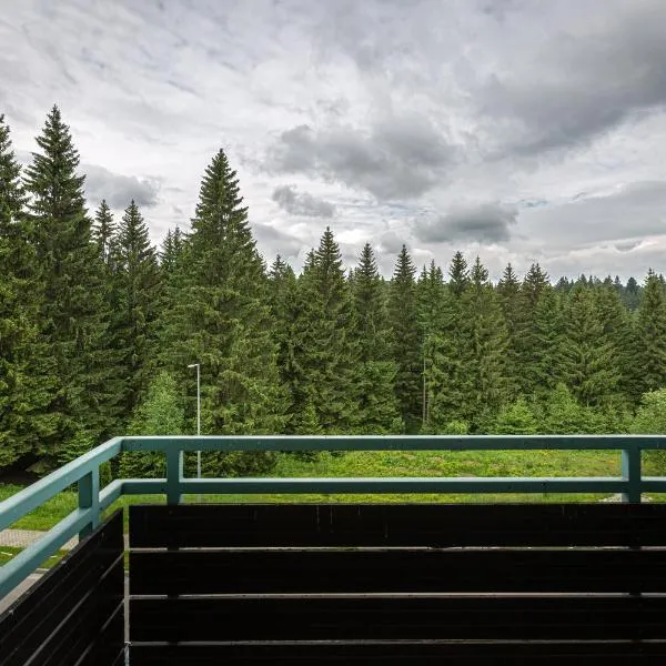 Cold Mountain Apartment in Silver Mountain Resort, hôtel à Poiana Brasov