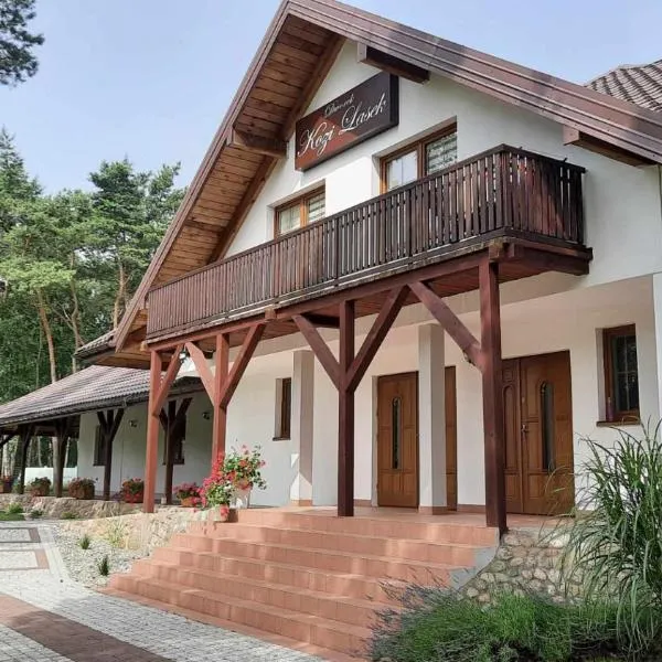 Kozi Lasek, hotell sihtkohas Koluszki