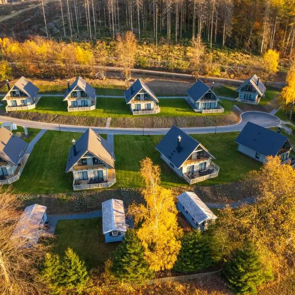 Harz-Urlaubs-Alm Hotel & Ferienhäuser, ξενοδοχείο σε Clausthal-Zellerfeld