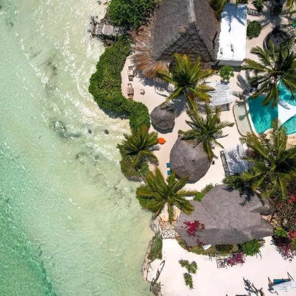 Aya Beach Resort, hotel in Kizimkazi