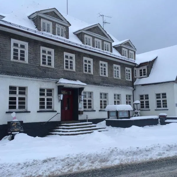 Der Engel, Hotel in Winterberg