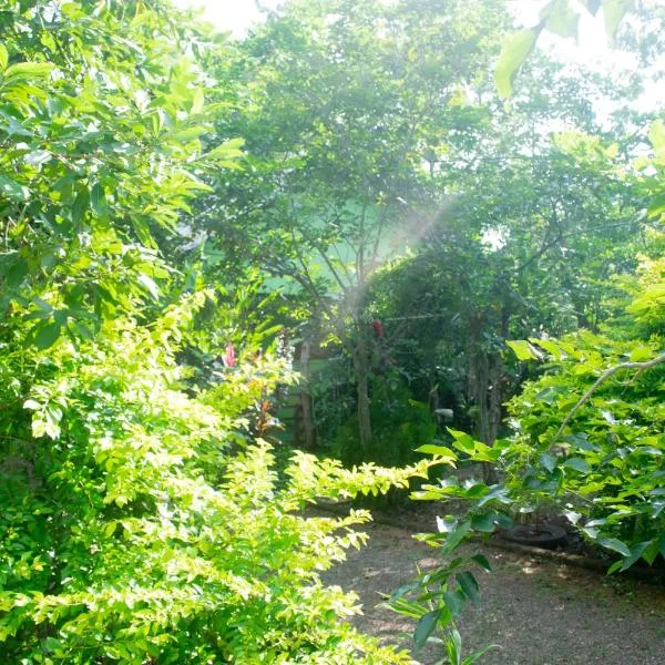 Forest Villa Nature Resort, hotel en Anuradhapura