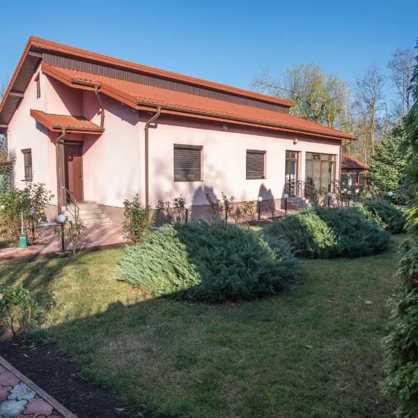 Casa Bițina, hotel in Biţina Pămînteni