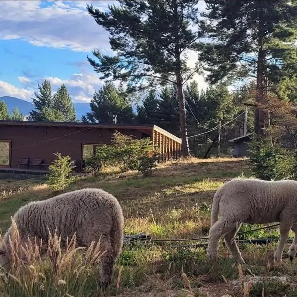 Turismo y Cabañas Dragon de La Patagonia, hôtel à Cochrane