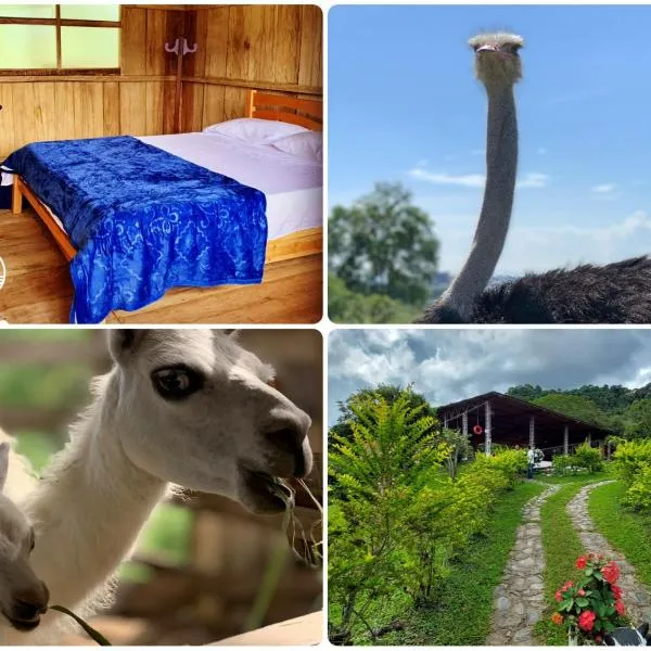 Finca Ecoparaiso, hotel in Ibagué