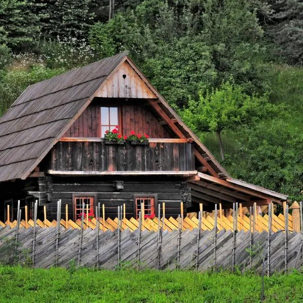 Eco tourist farm Mikl, hotel in Prevalje