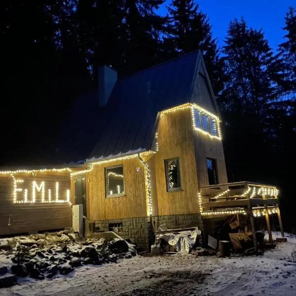 Chalet FiMiLi, hotell sihtkohas Vyšná Boca