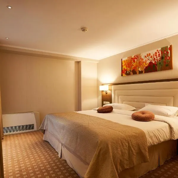 Petrodava ONE, hotel v destinaci Piatra Neamţ