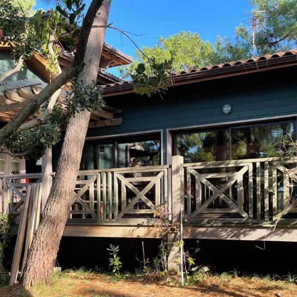 Yamina Lodge
