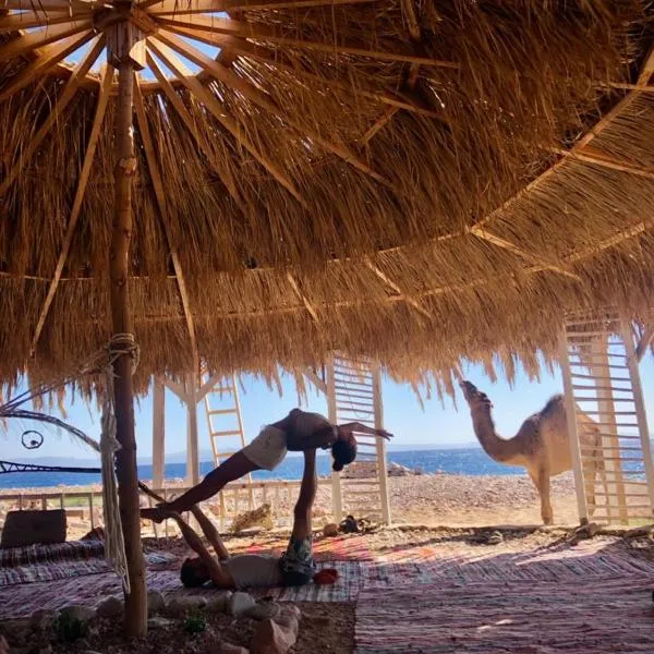 COSMOS eco Lodge and Spiritual community, hotel v destinaci Dahab