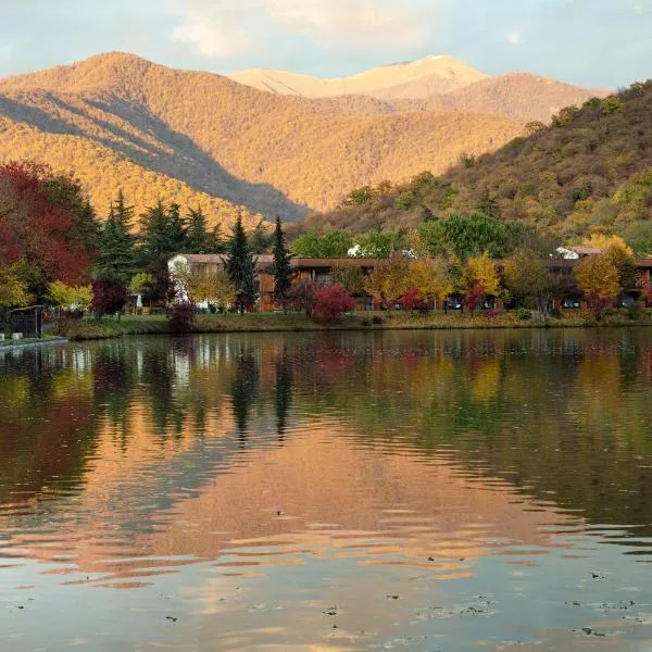 Lopota Lake Resort & Spa, hotel en Napareuli