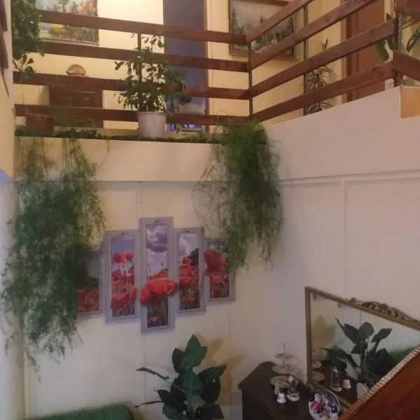 Casa Maria, hotel in Negreşti-Oaş