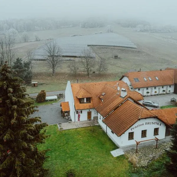 Penzion Brusinka, hotel in Kocourov